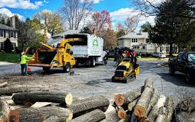 Best Stump Grinding and Removal  in Lakeville, MN